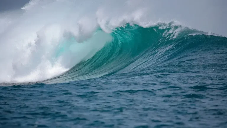 A large wave crashes onto the ocean surface, creating a dramatic splash against the blue water.