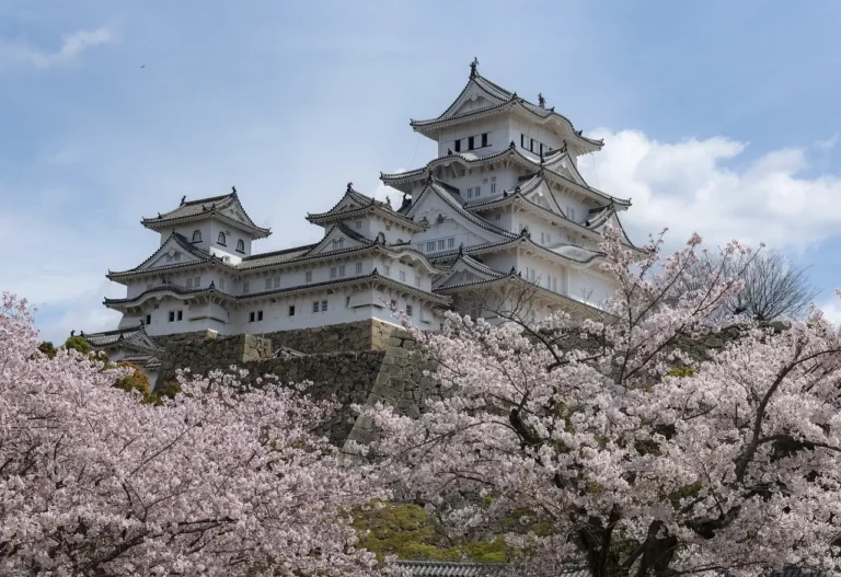 A majestic castle is encircled by blooming cherry trees, creating a picturesque springtime scene in Japan
