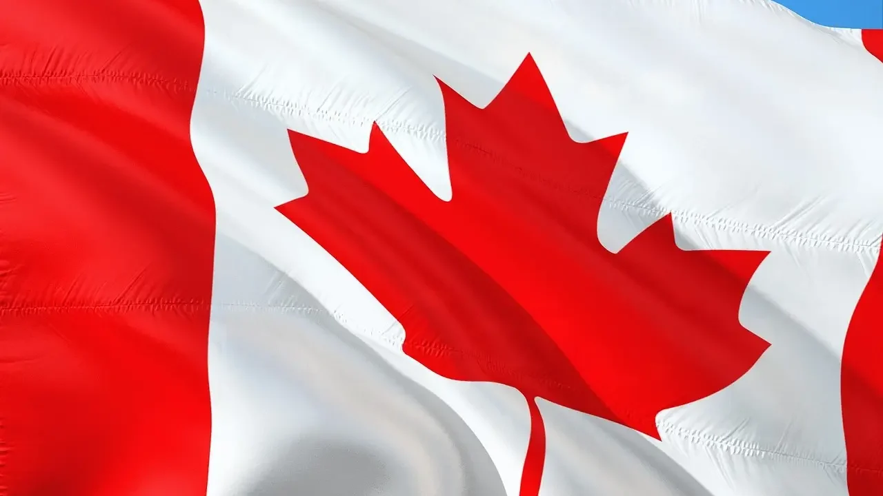 A Canadian flag billows in the wind against a clear blue sky.