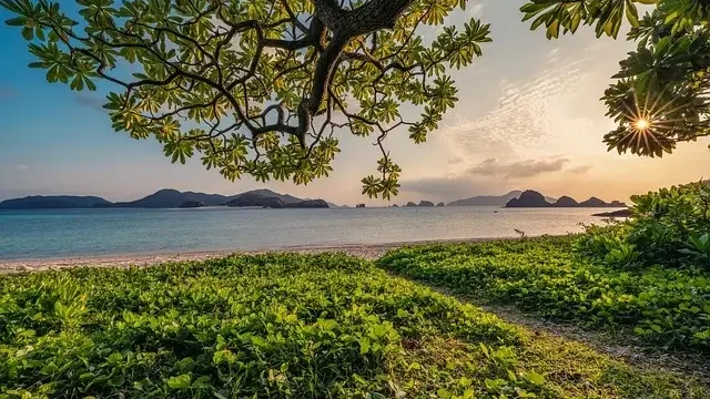 A scenic beach featuring lush green grass and trees lining the shore