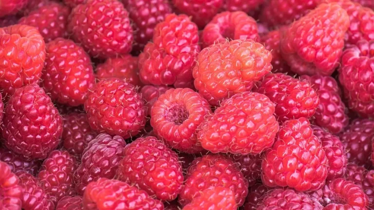 A close-up of fresh raspberries, highlighting their vibrant color and texture, emphasizing their high vitamin C content