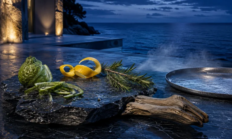 Cinematic coastal scene with citrus, rosemary, wet slate, and driftwood representing fresh polished alternatives to Bleu de Chanel Eau de Toilette